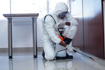 technicien qui pulvérise un insecticide sur des plinthes