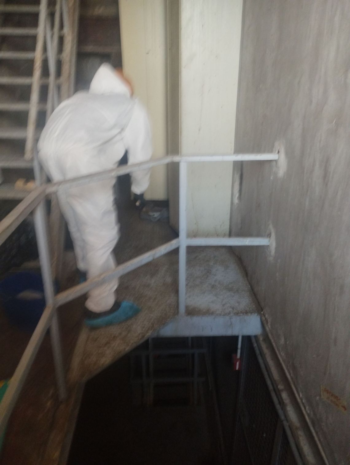 déjections de pigeons sur toiture