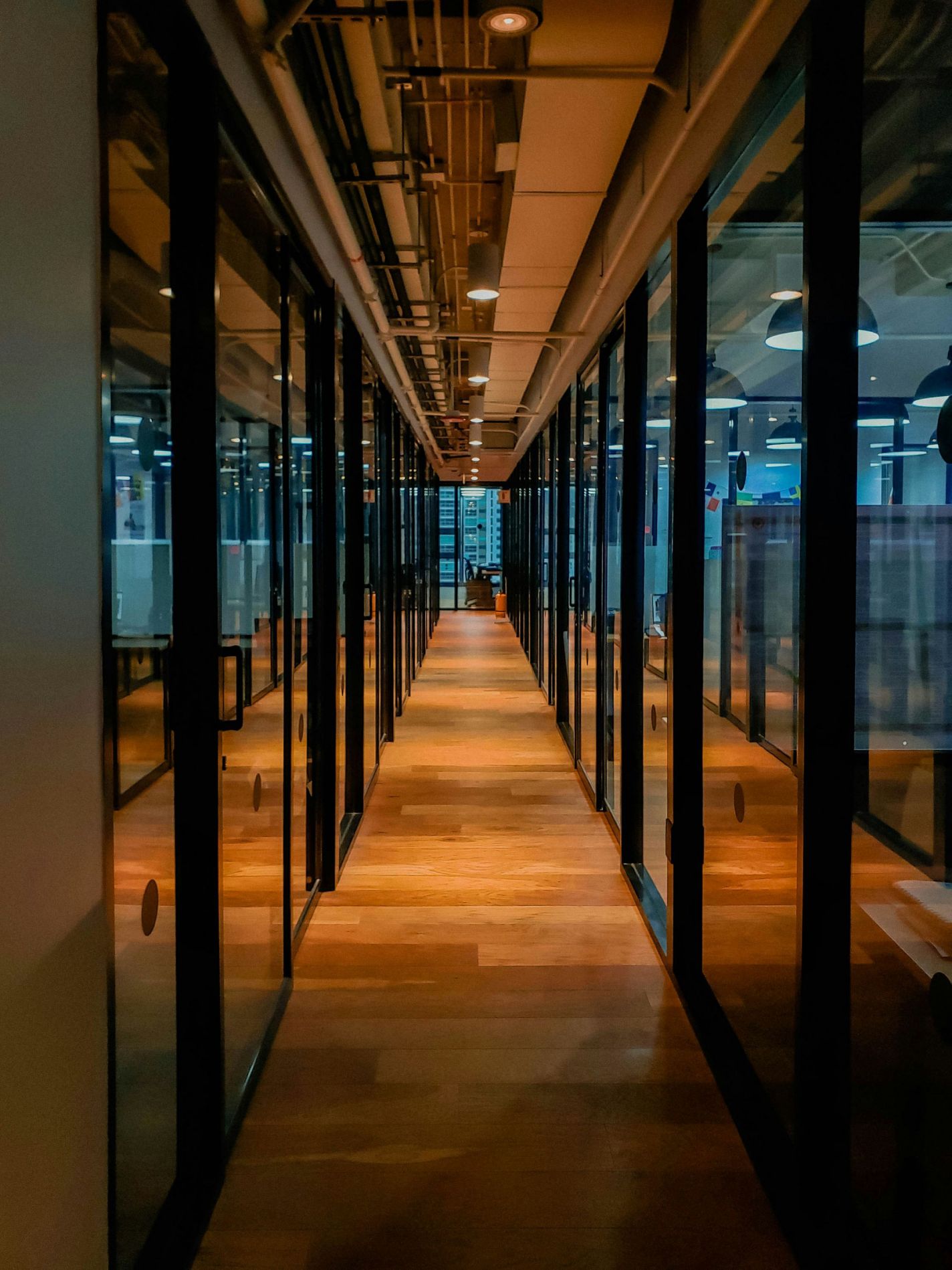 bureaux venant d'être désinsectisés