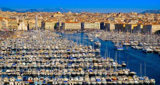Rats et punaises de lit : une nouvelle approche pour éviter leur prolifération (